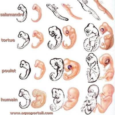 EmiliElonore's profile picture. santé /
géopolitique /
spiritualité/
nous faisons partie de TOUT