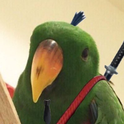 @bb0kbb0k
