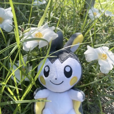 _miukich1's profile picture. 𝟢𝟣 ┊︎ 𝘗𝘰𝘬𝘦𝘮𝘰𝘯 𝘎𝘰 ┊ 𝘛𝘓𝟩𝟢 ┊︎ 𝘛𝘦𝘢𝘮 𝘝𝘢𝘭𝘰𝘳 ┊︎ 𝘑𝘚𝘉𝟥 ┊︎ 𝘔𝘈𝘛𝘌 🫰🏻💫 𝘙𝘦𝘴𝘩𝘪𝘳𝘢𝘮 ┊︎ 𝘌𝘮𝘰𝘭𝘨𝘢 ┊︎ 𝘉𝘶𝘻𝘻𝘸𝘰𝘭𝘦 🤍
