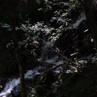 kindguitar's profile picture. 21歳 一人暮らし