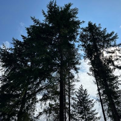 TheNewAmerLeft's profile picture. 