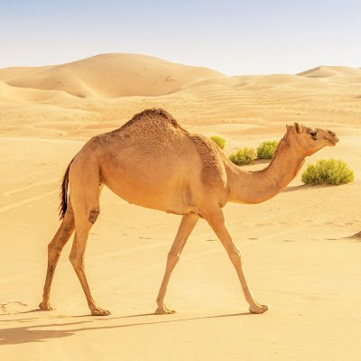 ATaraweeh91764's profile picture. 