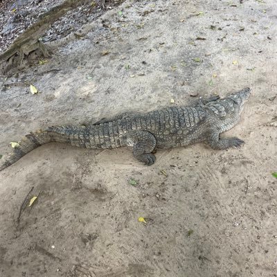 camara_dav48074's profile picture. be kind and humble to every living thing.