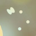 SunnyGoldpetal's profile picture. https://t.co/atIGZxHm7g所属💎 / #IRIAM準備中🕊️ / #サニーのひだまり☀ // 無言フォロー失礼します🙇‍♀️