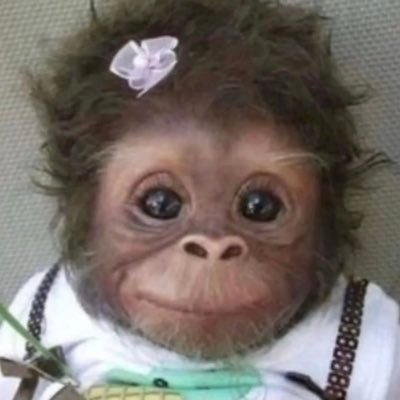 halaldaiz's profile picture. 🇱🇧