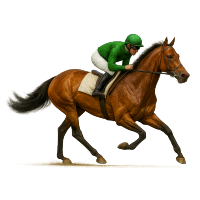 ParaQuine™ (@paraquine) 's Twitter Profile