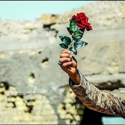 dACcRtEKt313845's profile picture. 