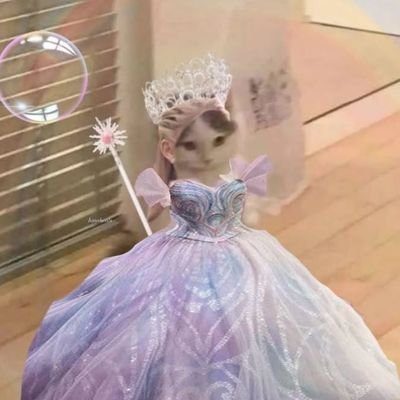 xlberto_gz's profile picture. 𖦹 ☼ ⋆｡˚⋆ฺ