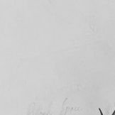 garilasia's profile picture. blog!