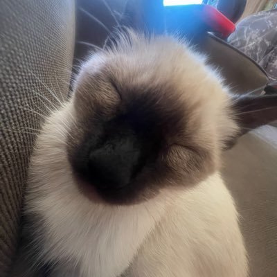 MAC3OOO's profile picture. 