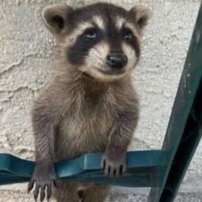 markcyclonado's profile picture. 