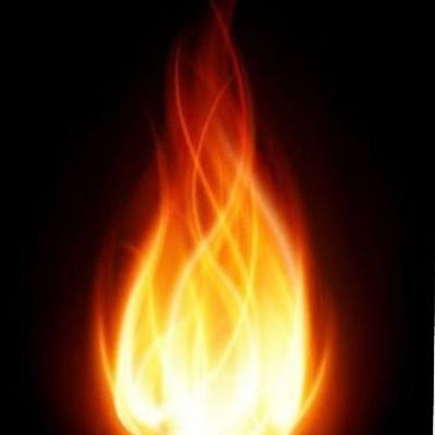whomejenjen's profile picture. 