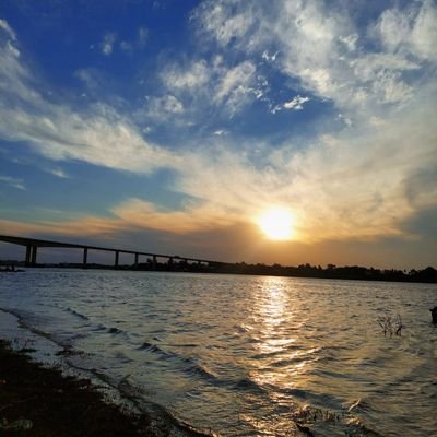 MartinSoli34608's profile picture. 