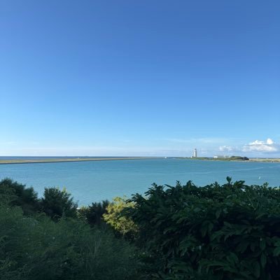 JVlk0BYB5u28011's profile picture. 