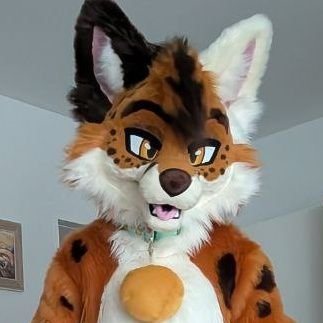 @CookieTheFox2