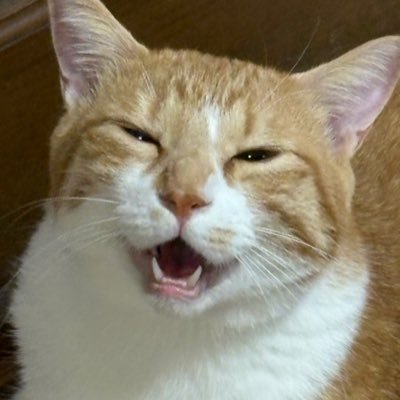 さんぞうけん😦さんのプロフィール画像