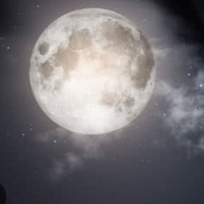 y_yrbni's profile picture. 壁打ち避難垢