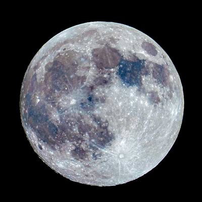 YuLin92306688's profile picture. 