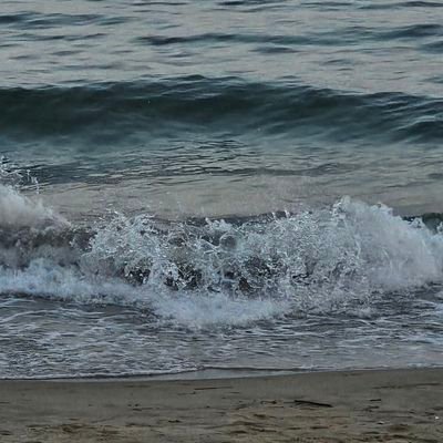 xoxo_L315's profile picture. 