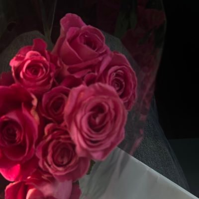 h1sx2's profile picture. 🇵🇸🇵🇸