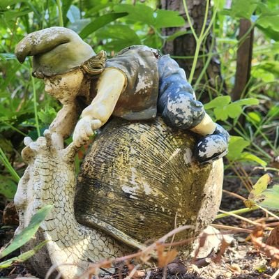 DarloBune's profile picture. just a concerned American