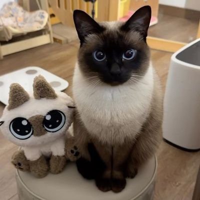 straw001_'s profile picture. 