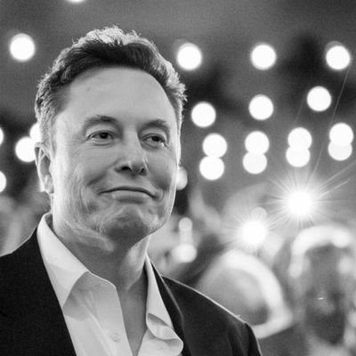 elnnmars's profile picture. CEO TESLA, SPACEX & XAI🚀