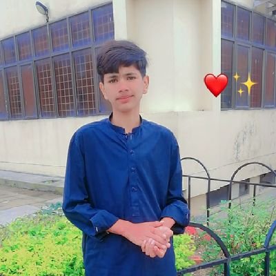 abdullahswatoo's profile picture. Base supporter, guy with 1000x potential