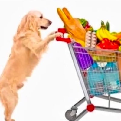 alloyeggroll's profile picture. no matter what i say, no matter what i believe, no matter what i do: i'm bankrupt without love ✝️