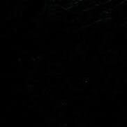 WesleyT8kjl's profile picture. 