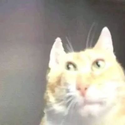 EnzoVid44949865's profile picture. 