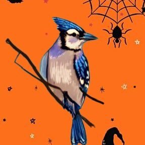 @bluejayCAM