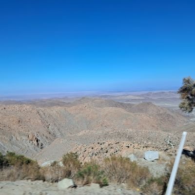 hector2086859's profile picture. 