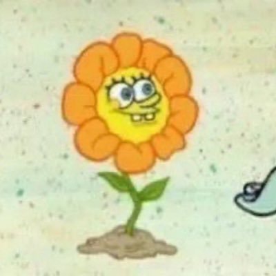 woundjob's profile picture. pronouns gender sexuality ethnicity age disability political stance