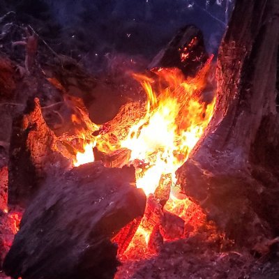 OHLighting's profile picture. 