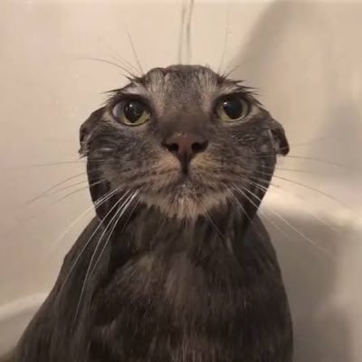 hrgmk2's profile picture. 