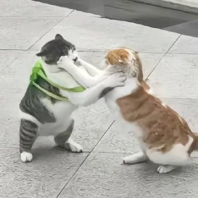 esinn's profile picture. 