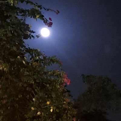 AraiaJoy's profile picture. Blessed mess.
Inhale sky,exhale stars.
کون دلاں دیاں جانے ھو!