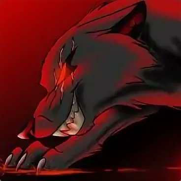 AmirBurges58231's profile picture. 