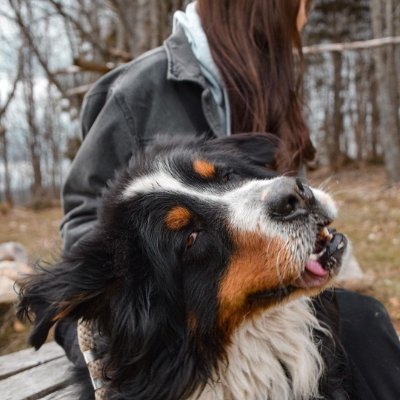 RosaSweetyyy's profile picture. Curious mind with a taste for elegance
Independent thoughts Independent life
Sharing insights style culture and a touch of wit
Age is just a number