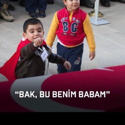 mehmetbilginerr's profile picture. Mirror