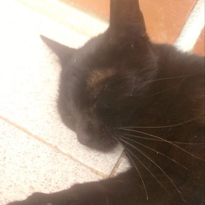 marlinsanchez77's profile picture. Mamá Azul 💙