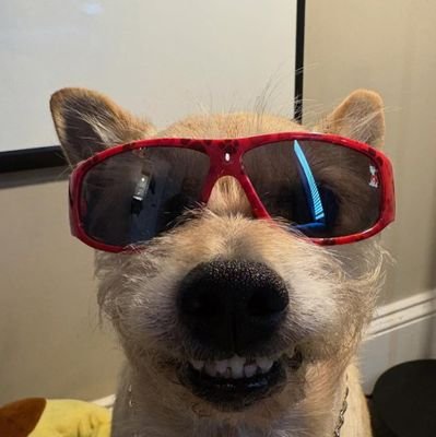 heavenkevan's profile picture. Unreliable narrator. A little gloomy but not without optimism.