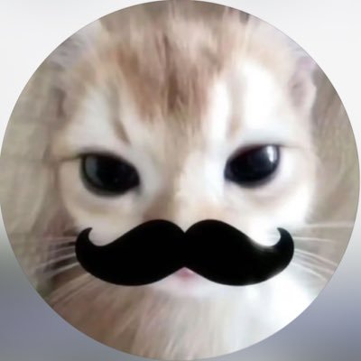 lilio__oilili's profile picture.