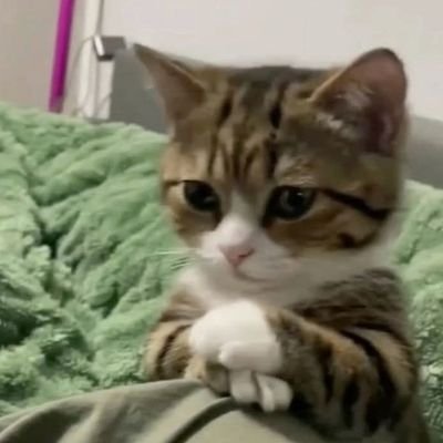 meyuush's profile picture. 