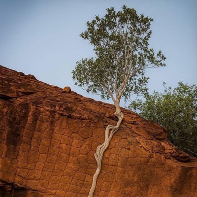 JeniferAud34083's profile picture. 
