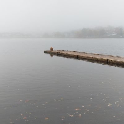 as18020537's profile picture. 