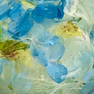 Nemi_Maji's profile picture. ◆成人済◆ TRPG