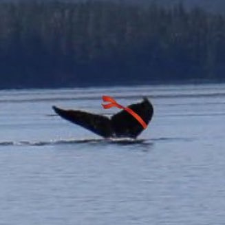 fred_fishin's profile picture. Fishin,Huntin,Outdoors, crypto idiot.