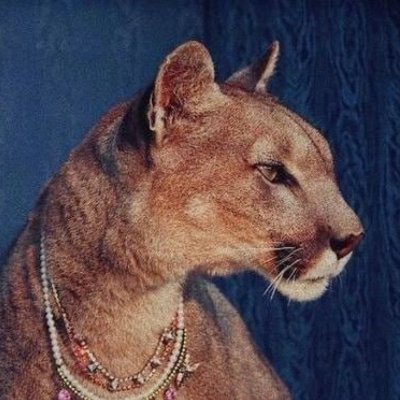 nentazim's profile picture. BD @BemFunding
Right people, right strategies, real results.
Let's discuss how we can win together.
DM & nentazim@bemfunding.com